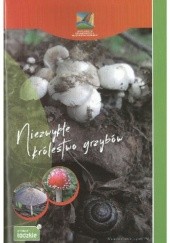 Okładka książki Niezwykłe królestwo grzybów Łukasz Nowacki