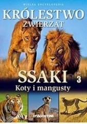 Okładka książki Ssaki. Koty i mangusty