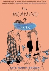 Okładka książki The Meaning of Birds Jaye Robin Brown