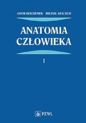 Okładka książki Anatomia Człowieka Tom 1: Anatomia ogólna, kości, stawy i wiązadła, mięśnie Adam Bochenek, Michał Reicher
