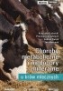 Okładka książki Choroby metaboliczne i niedobory mineralne u krów mlecznych Łukasz Kurek,&nbsp;Krzysztof Lutnicki,&nbsp;Jan Marczuk,&nbsp;Przemysław Sobiech