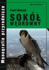 Okładka książki Sokół wędrowny Paweł Wieland