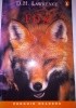 Okładka książki The Fox David Herbert Lawrence
