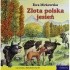 Okładka książki Złota polska jesień Ewa Mirkowska