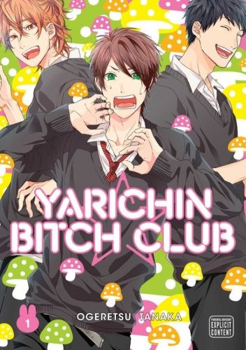 Okładki książek z cyklu Yarichin Bitch Club