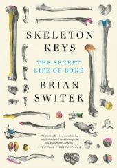 Okładka książki Skeleton keys. The secret life of bone Brian Switek