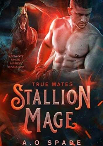 Okładki książek z cyklu Stallion Mage