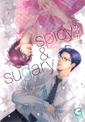 Okładka książki spicy & sugary Norikazu Akira