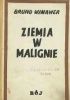 Ziemia w malignie
