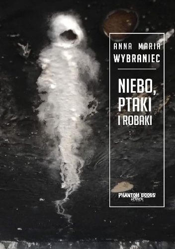 Okładka książki Niebo, ptaki i robaki Anna Maria Wybraniec