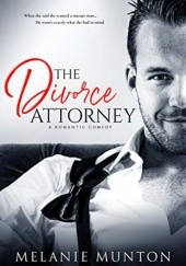 The Divorce Attorney