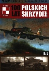 100 Lat Polskich Skrzydeł - Ił-2