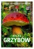 Atlas grzybów