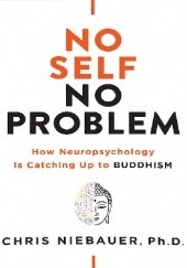 Okładka książki No Self, No Problem: How Neuropsychology Is Catching Up to Buddhism Chris Niebauer
