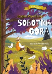 Okładka książki Sobotnia Góra Joanna Papuzińska