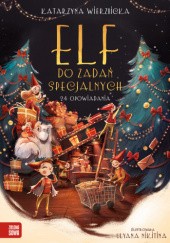 Okładka książki Elf do zadań specjalnych Katarzyna Wierzbicka