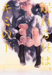 Okładka książki Nemureru Hiru wa, Kimi no Shita Jake Akahoshi