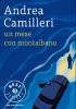 Un mese con Montalbano
