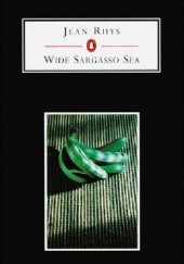 Okładka książki Wide Sargasso Sea Jean Rhys
