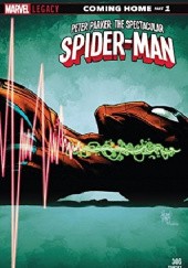 Peter Parker: The Spectacular Spider-Man #306