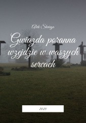Okładka książki Gwiazda poranna wzejdzie w waszych sercach Alek Skarga