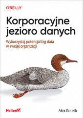 Okładka książki Korporacyjne jezioro danych. Wykorzystaj potencjał big data w swojej organizacji Gorelik Alex