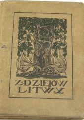 Okładka książki Z dziejów pogańskiej Litwy. Opowiadania historyczne dla młodzieży Maria Jadwiga Reutt