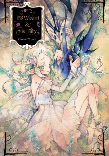 Okładki książek z cyklu The Wizard and His Fairy