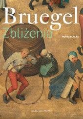 Okładka książki Bruegel. Zbliżenia Manfred Sellink