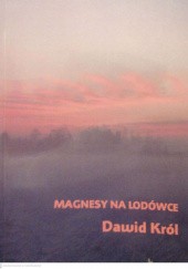 Okładka książki Magnesy na lodówce Dawid Król