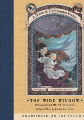 Okładka książki The WIde Window Lemony Snicket