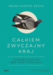 Całkiem zwyczajny kraj. Historia Polski bez martyrologii - Brian Porter-Szűcs