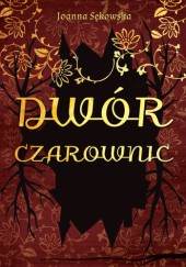 Okładka książki Dwór czarownic Joanna Sękowska