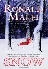 Okładka książki Snow Ronald Malfi