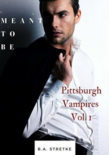 Okładki książek z cyklu Pittsburgh Vampires