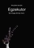 Okładka książki Egzekutor: na drugą stronę muru Paulina Gajda