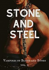 Okładka książki Stone and Steel B.A. Stretke