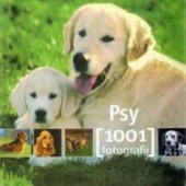 Okładka książki Psy. 1001 fotografii praca zbiorowa