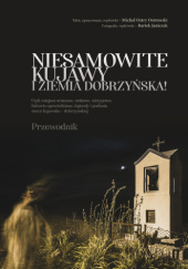 Okładka książki Niesamowite Kujawy i Ziemia Dobrzyńska Michał Ostrowski