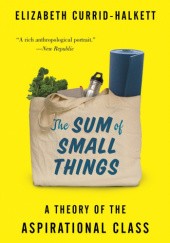 Okładka książki The Sum of Small Things: A Theory of the Aspirational Class Elizabeth Currid-Halkett