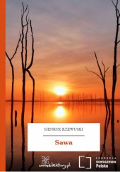 Okładka książki Sawa Henryk Rzewuski