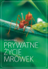 Okładka książki Prywatne życie mrówek Krzysztof Pabis