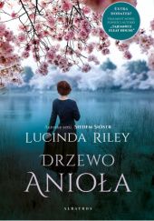 Okładka książki Drzewo Anioła Lucinda Riley