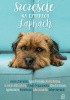 Okładka książki Szczęście na czterech łapkach Klaudia Bianek,&nbsp;Anna Kasiuk,&nbsp;Robert Kornacki,&nbsp;Agnieszka Lis,&nbsp;Lidia Liszewska,&nbsp;Agata Przybyłek,&nbsp;Natalia Sońska,&nbsp;Joanna Szarańska,&nbsp;Sylwia Trojanowska,&nbsp;Karolina Wilczyńska