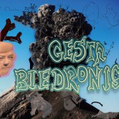 Gesta Biedronis