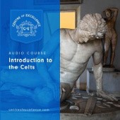Okładka książki Introduction to the Celts Centre of Excellence