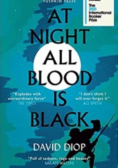 Okładka książki At Night All Blood is Black David Diop