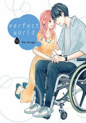 Okładka książki Perfect world #11 Rie Aruga