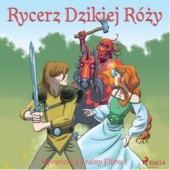 Opowieść z Krainy Elfów 1 - Rycerz Dzikiej Róży