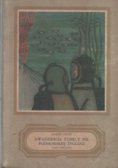 Okładka książki Dwadzieścia tysięcy mil podmorskiej żeglugi t.2 Juliusz Verne